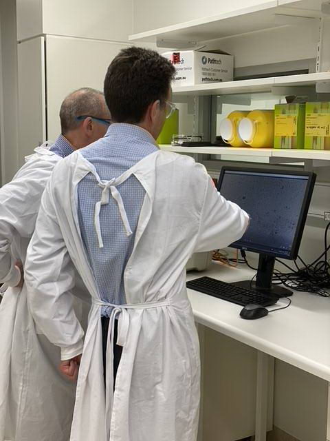 벡 Ϊй͡a2֧¹ڲо