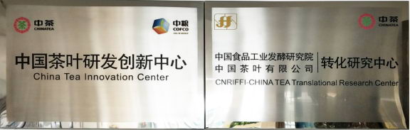 当姜遇上茶,中茶姜糖+六堡绽放植物的健康能量!