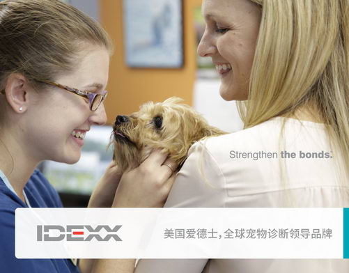 数千份犬猫样本，未显示犬猫新冠病毒阳性|全球宠物诊断领导品牌爱德士官方发布