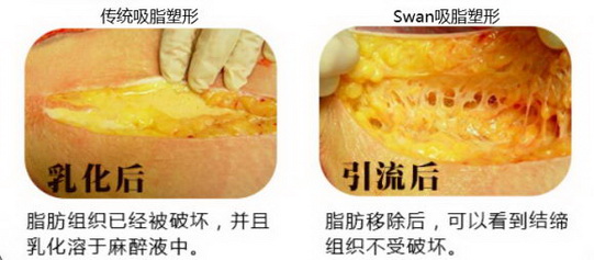 ֬ΤԪǿؼ֬δУɡݡԶ뷳ţ