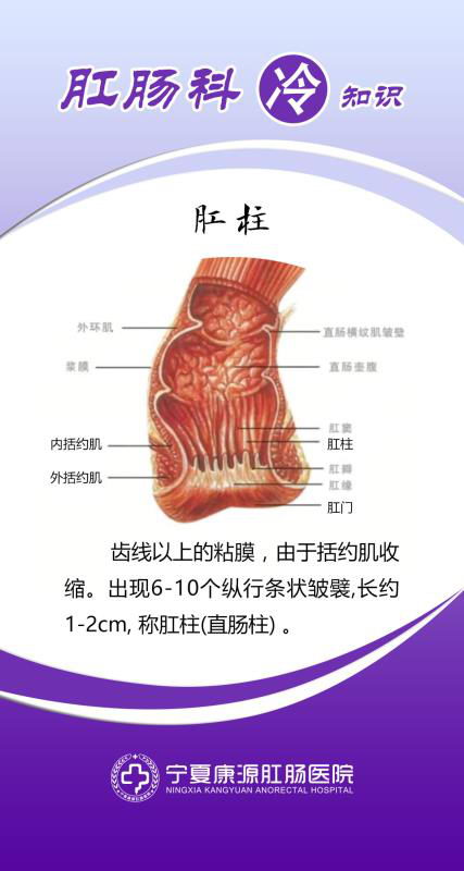 ĿԴسҽԺôƷơȨרҵ