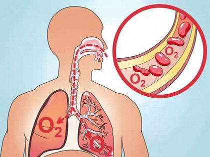 制氧机怎么选?明白这些才能健康氧疗!