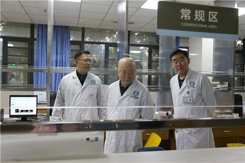 ĴسҽԺ淶ҩ¹ ϰҩʹðȫ