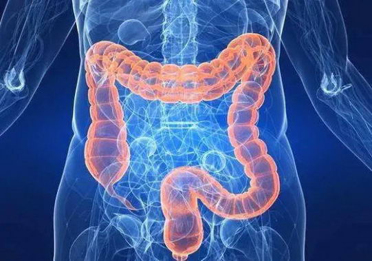 жسҽԺרҸһα峿