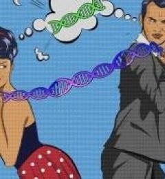 两性的基因差异 可能会影响疾病形成的风险