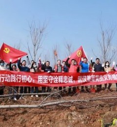 ��������|���ֳ�ʢ �����ȷ� �人��������ֲ������ʱ��