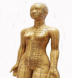 ����Ѩλ����Ȼҩ�� �̺�������ǿ������ҵ�������