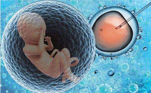 ԵԹӤΪʲôܳΪڶ಻вߵѡ