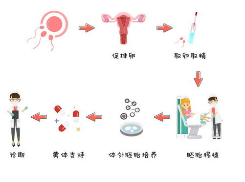 ԹӤһ͵ڶʲôҽԺƻ棺Ӧ֢