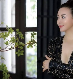 ����֣���ģ�����������Ĵ����ߺ��ػ���