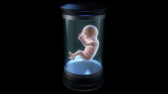 人造子宫真的能孕育健康的婴儿吗？