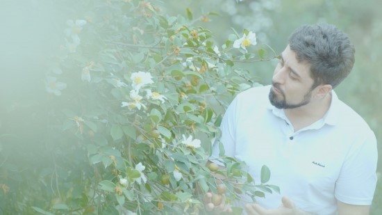 野生山茶油推向世界,宁德九展做到了