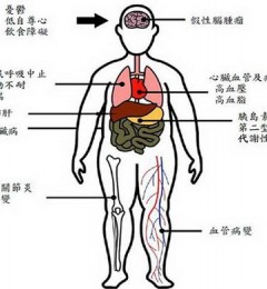 儿童肥胖也会引发心脏血管疾病、脂肪肝!家长学会9招战胜儿童肥胖