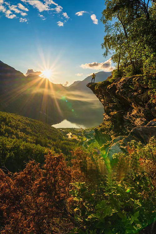 北欧野生蓝莓原浆,纯天然的健康臻品