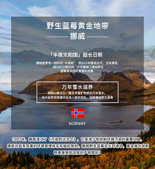 北欧野生蓝莓原浆,纯天然的健康臻品