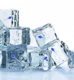 男性有没有生育的生理时钟?为何不选择冻精子?