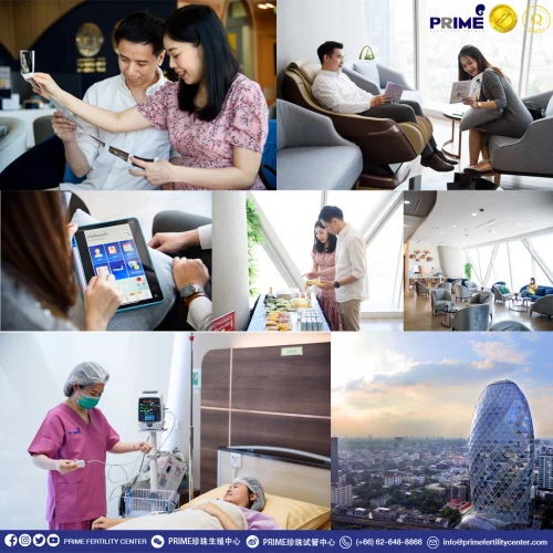 新生人口数量已减少,试管婴儿是解决方案