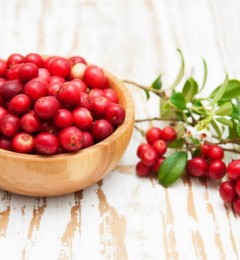 蔓越莓可降低大肠杆菌和尿道感染的研究