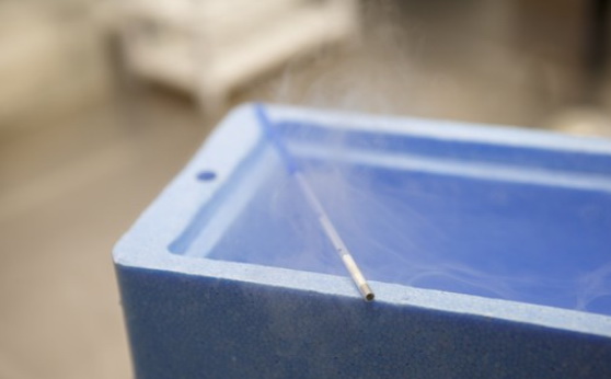 ɫһ˾зAIѡ̥ЧԹӤɹ