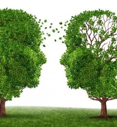 Կ֢״HRTƷ ӻʧ֢ķգ