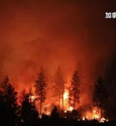 加拿大森林火灾持续 官方报告称林火或将继续燃烧至冬季