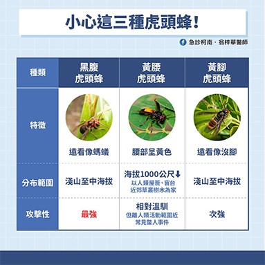 驴友遇黄蜂攻击 如何正确自救?