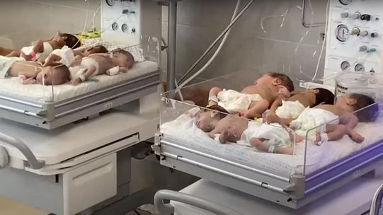 加沙31名被转移早产儿正与严重感染斗争 11人情况危急