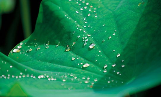 努力节食运动减肥,体重却降不下来 看看中医怎么说