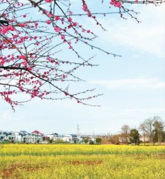 ��ʮ�Ľ��������ҽ����֮�� ���������Դ�ʼ