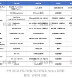 ҽҩAmylin٣Zealandŵŵͬһле