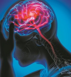 ���ڱ�¶�ͽӴ���Ⱦ����  ������ƫͷʹ��������